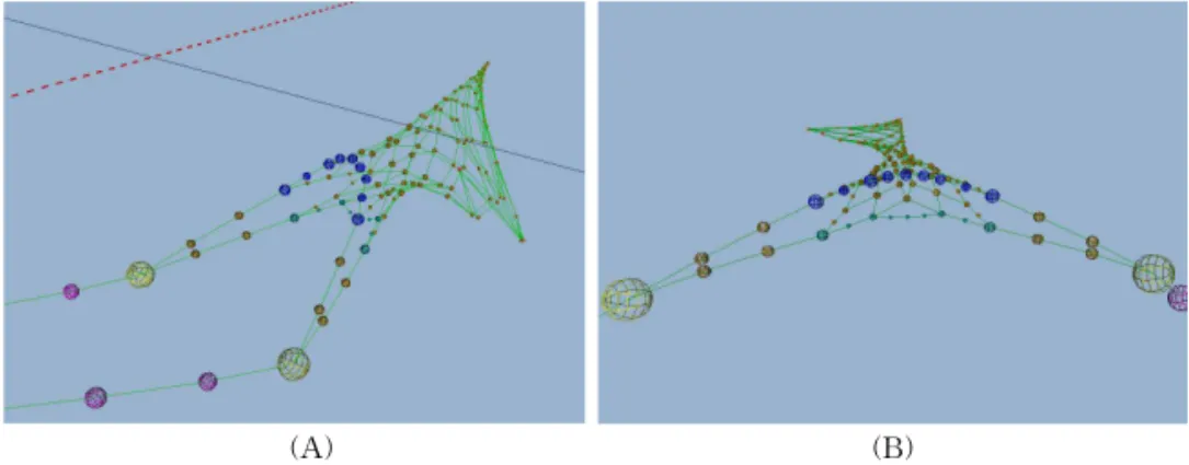 Fig. 5의 (A)-2 처럼 그물의 입구에서 거리가 먼 질 점들은 거의 같은 자리에 위치하게 된다 . 이 경우 표 면 재구축 작업시 큰 오차가 발생할 수 있다 
