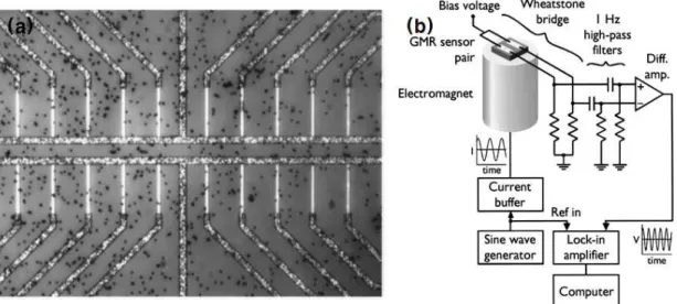 Fig 6. Magnetic biosensor using micro bead[19]. (a) Sensor pattern(250x250 μm), (b) Structure of sensor system..
