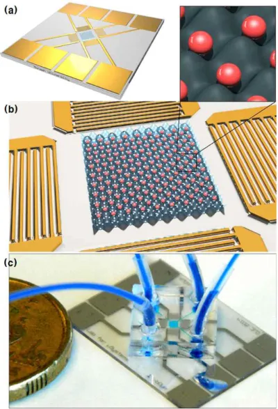 Fig 9. Bead align system using surface acoustic wave[28]. (a) Image of micro bead align