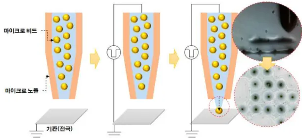 Fig 13. Process of ejecting micro bead based on electrostatic force. 정전기력 기반의 토출 공정은 헤드 내 전극 간에 형성되는 전기장의 흐름을 이 용하여 미세액적을 정밀하게 토출하는 공정 기술로 Fig 13과 같이 기존 미세 패 턴 용도로 활용되었던 나노/마이크로 패터닝 기술을 응용하여 혼합용액 내 비드 의 정밀 토출을 유도하는 방식의 공정 기술이다