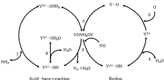Fig. 2. An integrated mechanism for reduction of NO with NH 3 [24]. 
