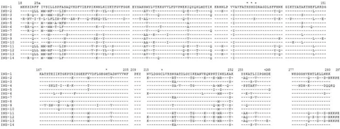 Fig. 1. Dendrogram obtained for 14 representative INDs calculated with CLUSTALX version 2.0