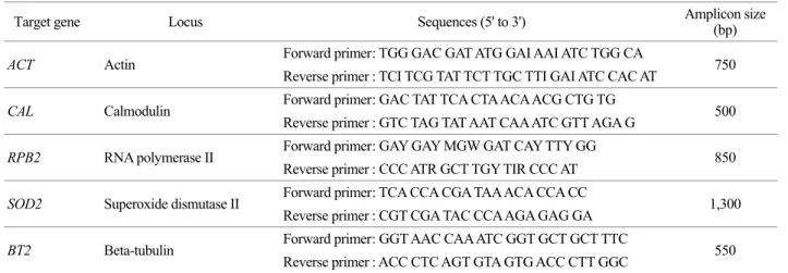 Fig. 1. Nucleotide substitutions in BT2 gene of  T. rubrum clinical isolates. Genetic variations of T