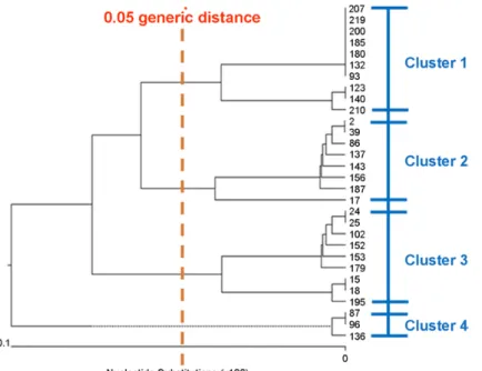 Fig. 2. Dendrogram of  a total of  30 T. rubrum clinical isolates determined by MLST with five housekeeping genes
