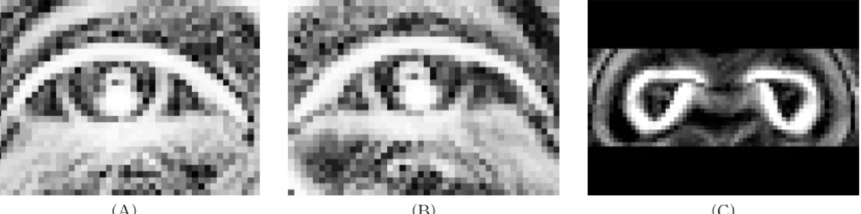 Fig. 3. Examples of the right, left eye, and nose templates. (A) The right eye template, (B) The left eye template,  (C) The nose template.