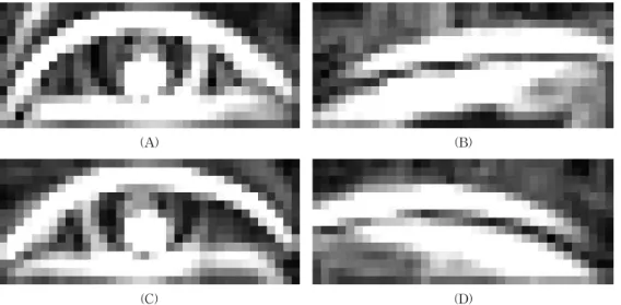 Fig. 5. Example of the template for eye blink. (A) The template of right opened eye, (B) The template of right closed  eye, (C)The template of left opened eye, (D) The template of left closed eye.