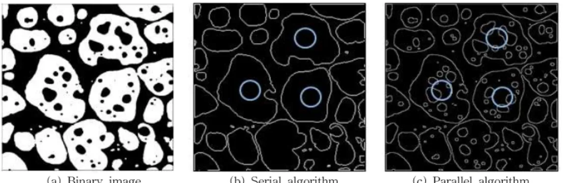 Fig. 2. Long and short axis of cell.