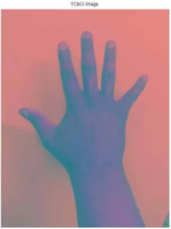 Fig. 3. Binary Image.