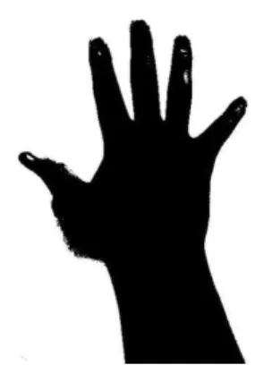 Fig. 4. Binary image after Dilation.