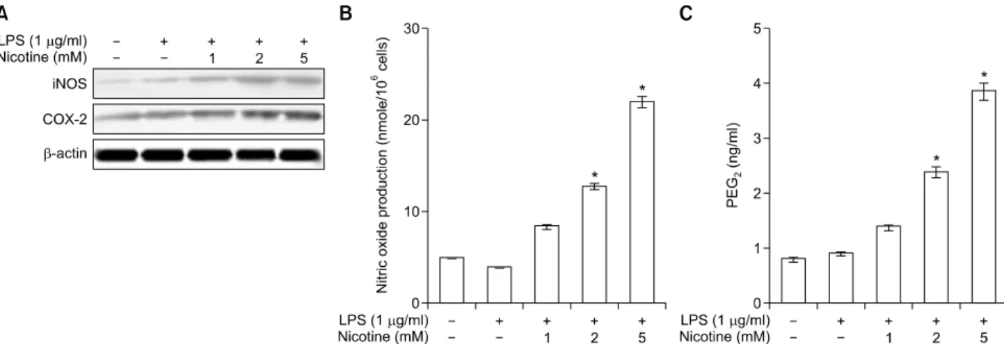 Fig.  3.  Effects  of  lipopolysaccharide  (LPS)  plus  nicotine  on  the NFATc1  activation  and  the  phosphorylation  of  MAP  kinase  (MAPK)