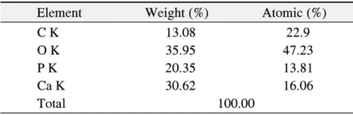 Table 4. Ca and P Amount of Artificial Carious Enamel Treated with  Fluoride  Varnish  (Group  4)