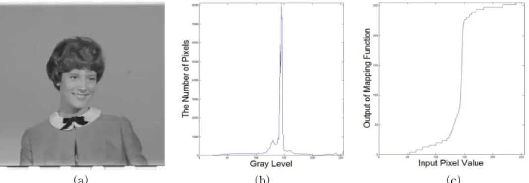 Fig. 2. Histogram spike and quantum jump. (a) original (b) histogram spike, and (c) quantum jump of mapping function.