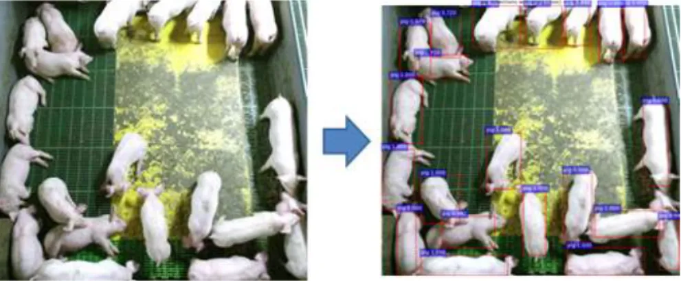Fig. 5. Successful result of individual object detection using RGB Fast R-CNN. 