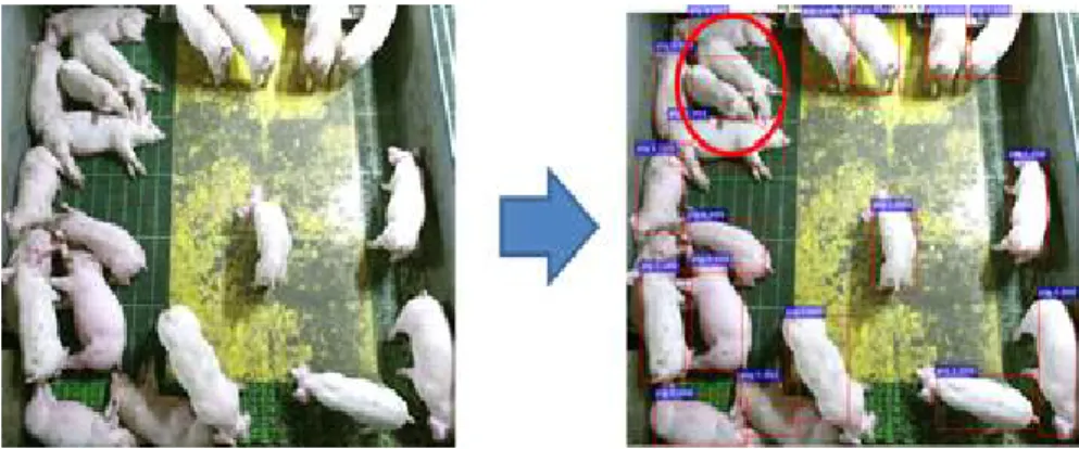 Fig. 6. Partially failed result of individual object detection using RGB Fast R-CNN.