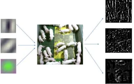 Fig. 8. Result of extracting feature map using filters of the first convolution layer.