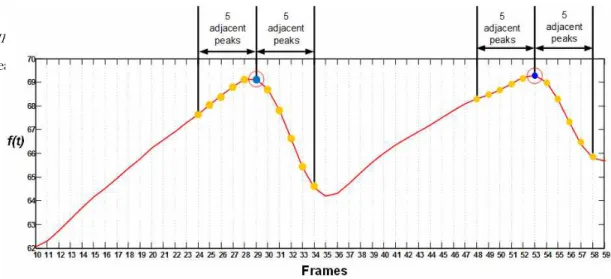 Fig. 7. Diagram of peak-picking algorithm with 11 coefficient adjacent peaks.