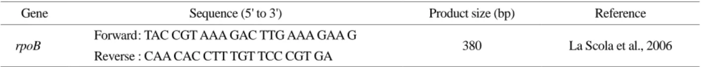 Table 1. Primer pair used in the experiment for rpoB gene amplification 