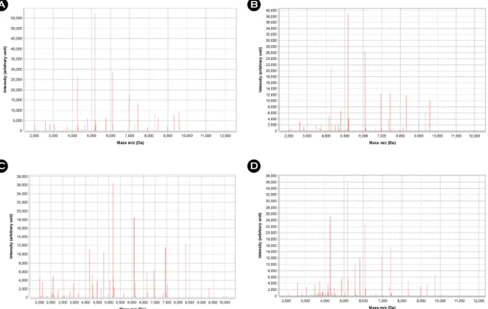 Fig. 5. Peak profiles of  four representative Acinetobacter species isolates generated by MALDI-TOF  MS based VITEK MS
