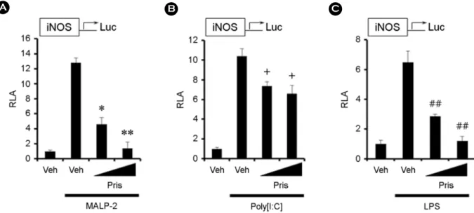 Fig. 1. (A) The structure of  pristimerin. (B) RAW264.7 cells were treated with pristimerin (0.1, 0.5