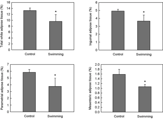 Fig. 3. Effects of swimming on hepatic lipid accumulation in female mice at 6 weeks. Representative hematoxylin and  eosin-stained liver sections are shown (original magnification ×200)