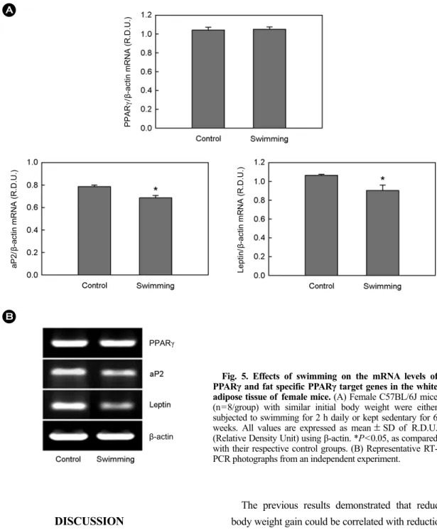 Fig. 5. Effects of swimming on the mRNA levels of  PPARγ and fat specific PPARγ target genes in the white  adipose tissue of  female mice