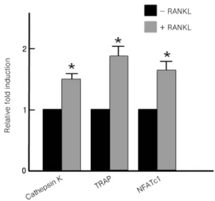 Fig. 2. Grouping of genes according to biological process or molecular function. (A and B) After microarray, genes changed  by RANKL treatment were grouped according to biological process (A) or molecular function (B) and counted