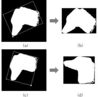 Fig. 16는 House 퍼즐 입력과 후보 간의 bitwise- bitwise-XOR 연산 결과 예시이다.