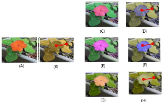 Fig. 7. (A) Original image (B) Modified image simulating color vision deficiencies’vision (C) Compensated image using  RGB color space algorithm (D) Modified image of (C) simulating color vision deficiencies’vision (E)Compensated  image using HSV algorithm