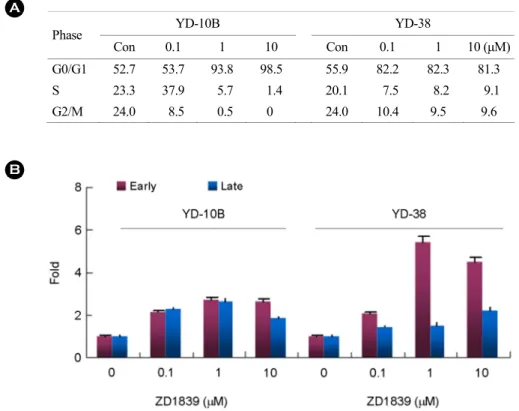 Fig. 3. (A) Effect of  ZD1839 on cell cycle distribution in YD-10B and YD-38 cells. (B) apoptosis assays