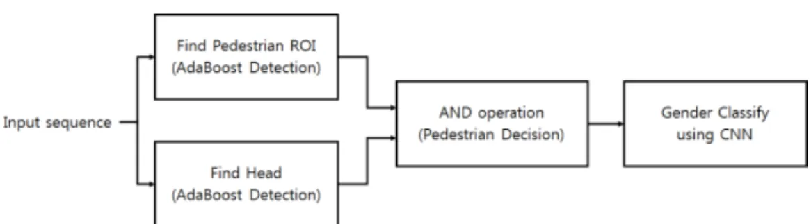 Fig. 5. Detected ROI area by cascade classifier.