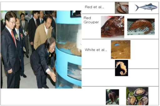Fig. 1. Example of Vertical Fish Farm.