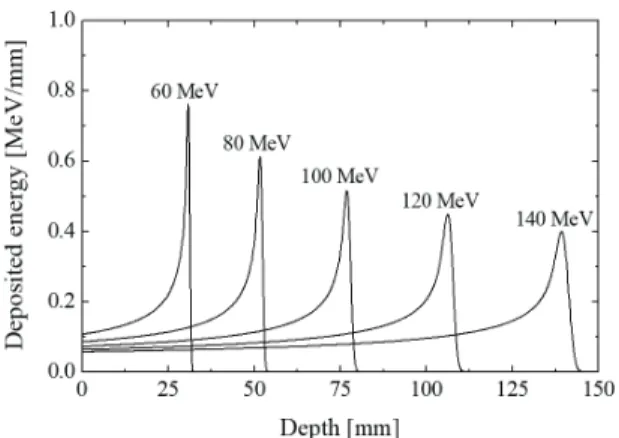 Table  2.  Bragg-peak  Positions  and  Ranges  of  Proton  Beams  in  the  Water  Phantom