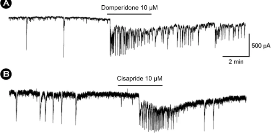 Fig. 5. Effects of  D2 receptor antagonist or serotonin4 receptor agonist on pacemaker currents recorded in cultured ICCs from  mouse large intestine
