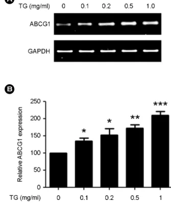 Fig. 3. TG up-regulates ABCG1 expression in THP-1 macro- macro-phages in a dose-dependent manner