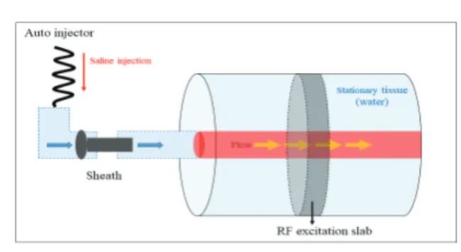 Fig.  1.  MR  Flow  Phantom.