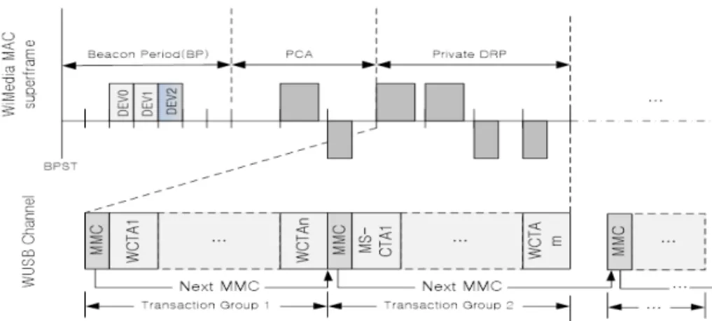 Fig. 1. Architecture of WUSB Channel.