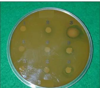 Fig. 1. Viable cell counts of  lactic acid bacteria No. 3165 after treatment with endocrine disruptors at a concentration of  100 µg/ml.