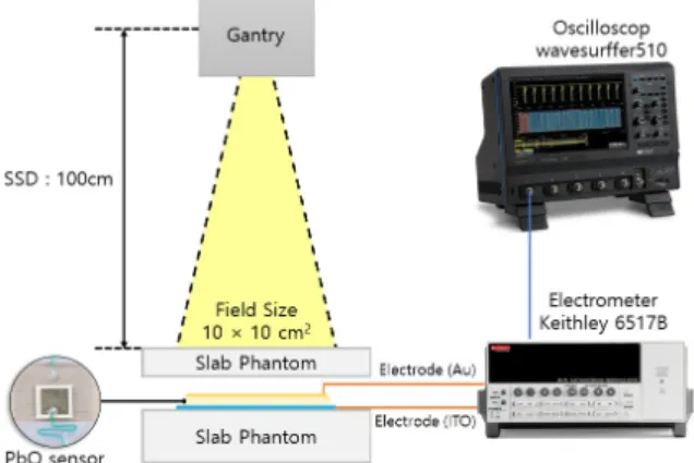 Fig.  1.  Schematic  diagram  of  the  experimental  setup.
