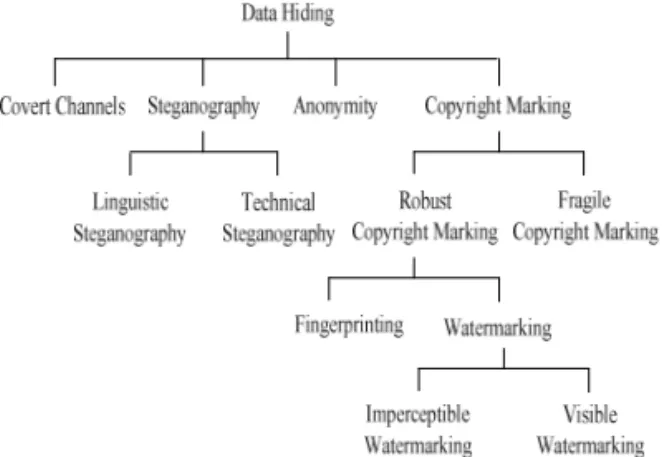 Fig. 3. Category of information hiding.