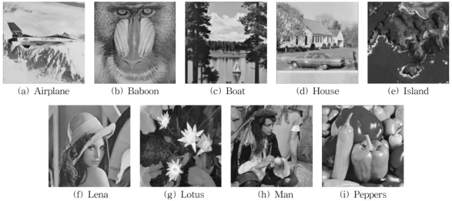 Fig. 4. Grayscale images.