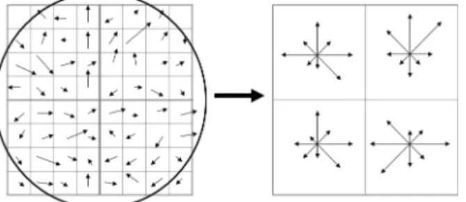 Fig. 1. Area Characteristic in SIFT.