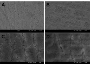 Fig. 2. Atomic force microscope surface topography of enamel surface after bleaching. 