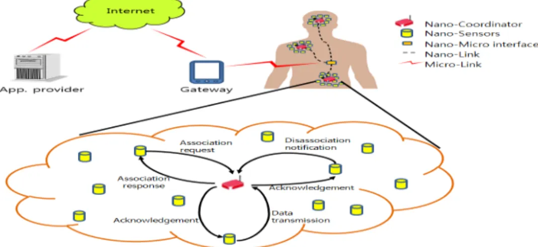 Fig. 3. Nano-network application model.