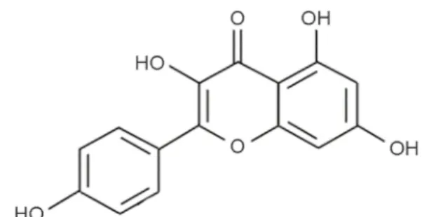 Fig. 1. The structure of  Kaempferol (KAE) 