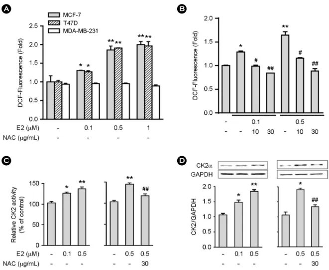 Fig. 1. Estrogen increases ROS production in ER +  MCF-7 and T47D cells. A and B, Cells (4  ×  10 3 ) were treated for 3 hr with varying  concentrations of  estrogen for the measurement of  ROS