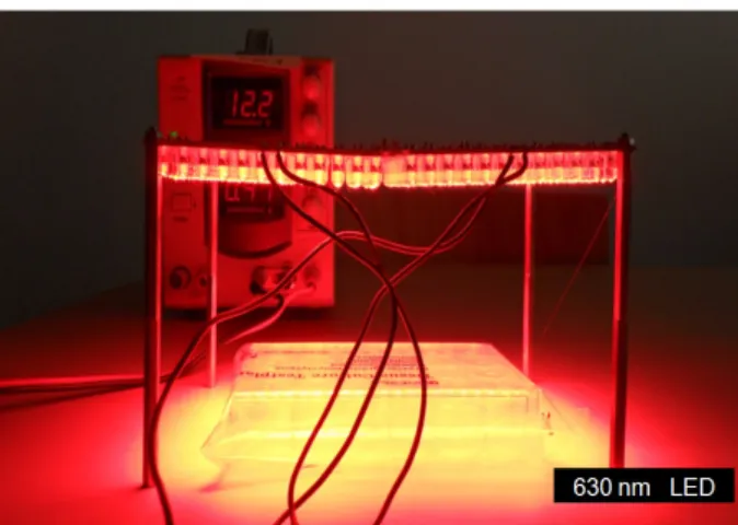Fig. 1. LED set-up for in vitro PDT treatment. The LED  wavelength 630 nm and LED array was composed with 384 LED  in 120 × 180 mm size
