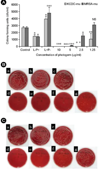Fig. 2. Survival bacteria (KCDC-mu, MRSA-mu) was evaluated by colony forming unit test after PDT with the light dose of 15  J/cm 2 