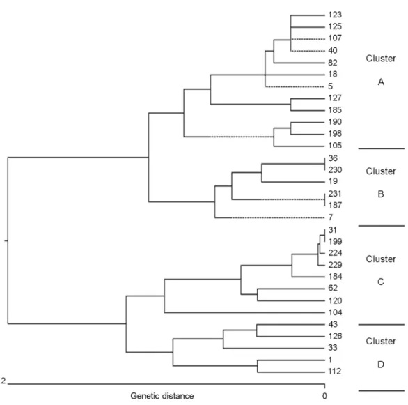 Fig. 1. Phylogenetic tree generated from each A. fumigatus clinical isolate. 