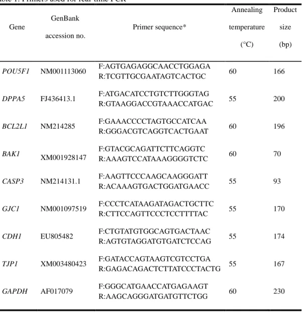 Table 1. Primers used for real-time PCR 