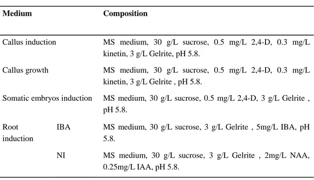 Table 4. Media composition for ginseng tissue culture. 